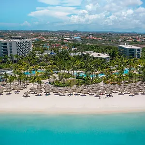 Hilton Aruba Caribbean & Casino Курортный комплекс Палм Бич